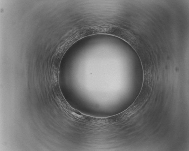 X0000057091058200509231644