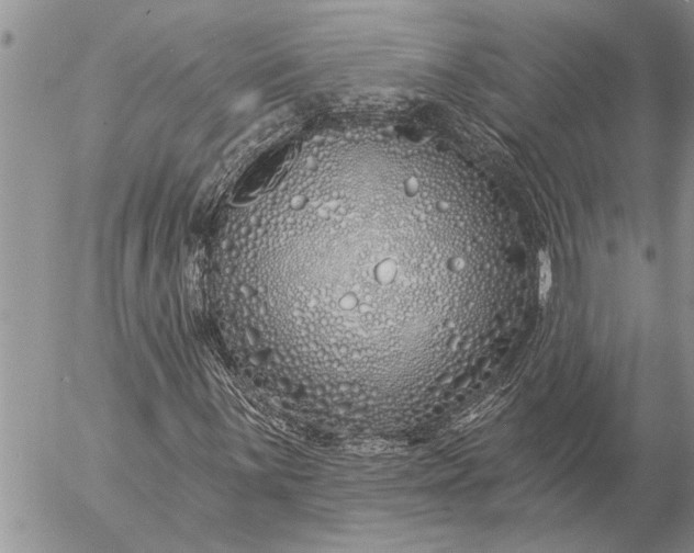 X0000057091059200509231644