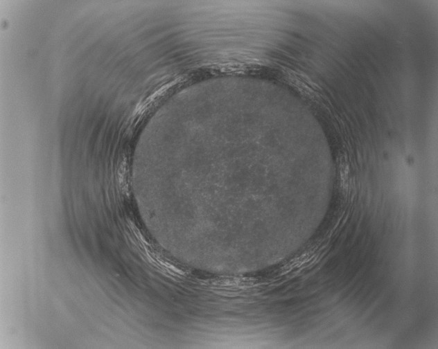 X0000057091060200509231644