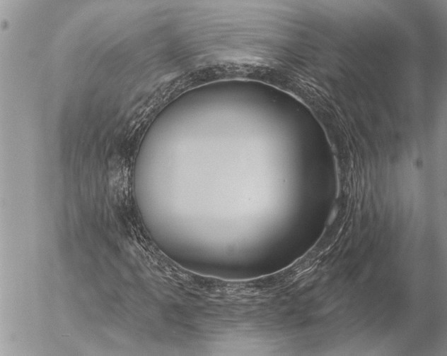 X0000057091061200509231644