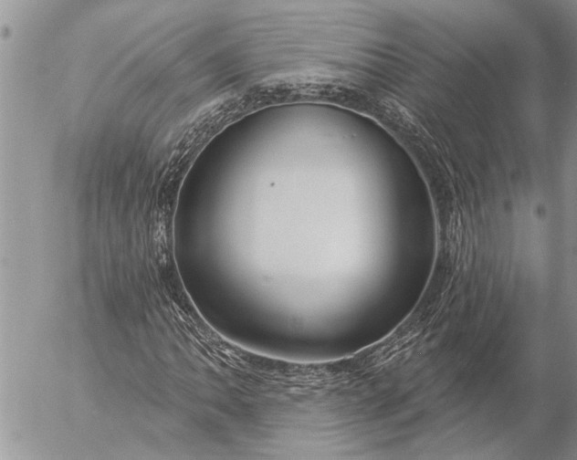 X0000057091062200509231644