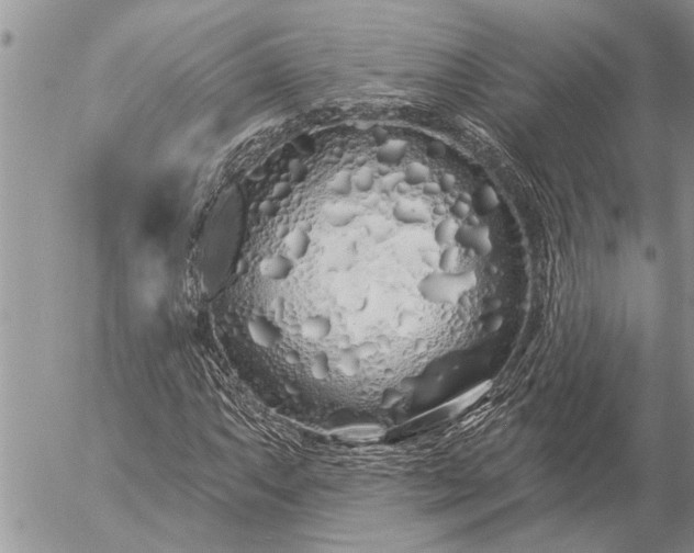 X0000057091063200509231644