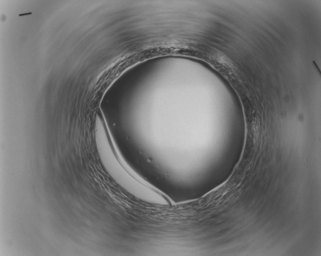 X0000057091064200509231644