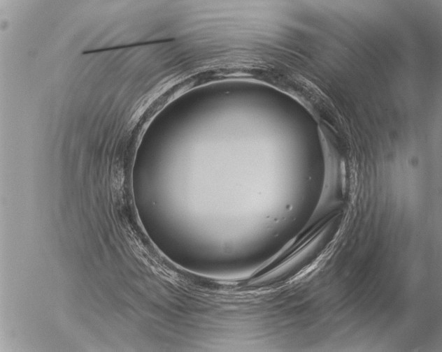 X0000057091065200509231644