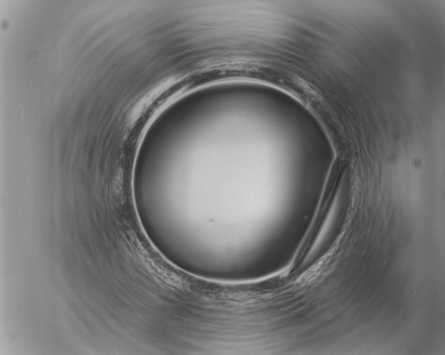 X0000057091066200509231644