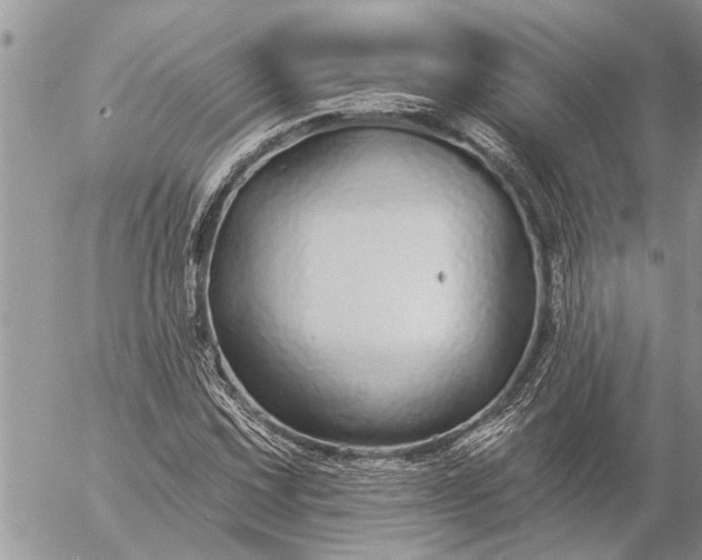 X0000057091067200509231644