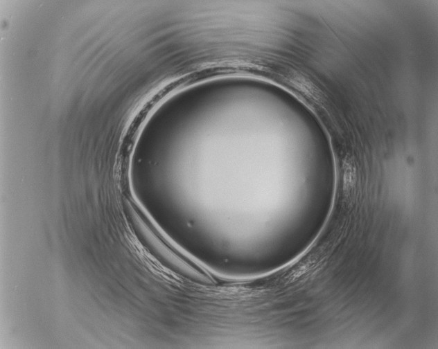 X0000057091068200509231644