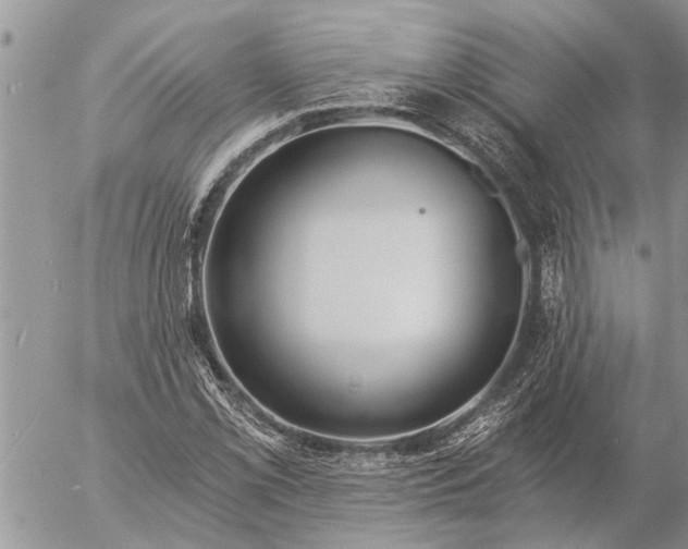 X0000057091069200509231644