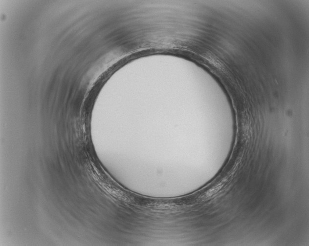 X0000057091070200509231644