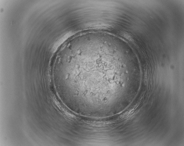 X0000057091071200509231644