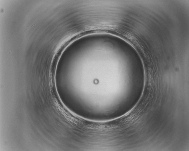 X0000057091072200509231644