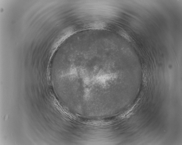 X0000057091074200509231644