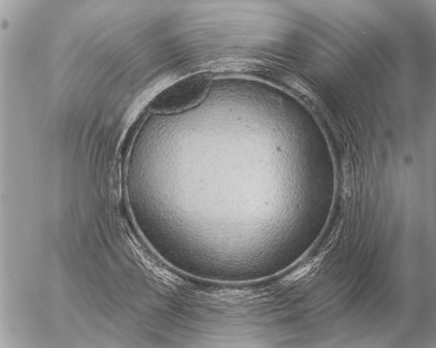 X0000057091075200509231644