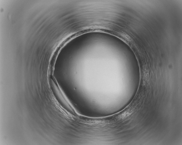 X0000057091076200509231644