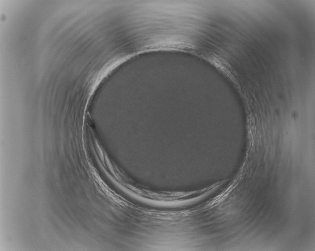 X0000057091077200509231644