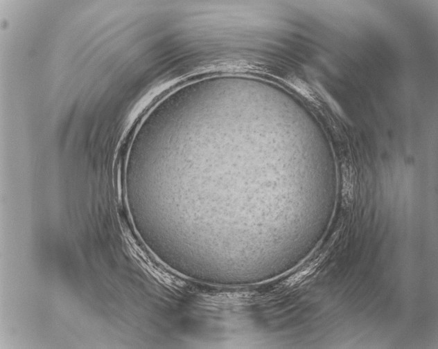 X0000057091078200509231644