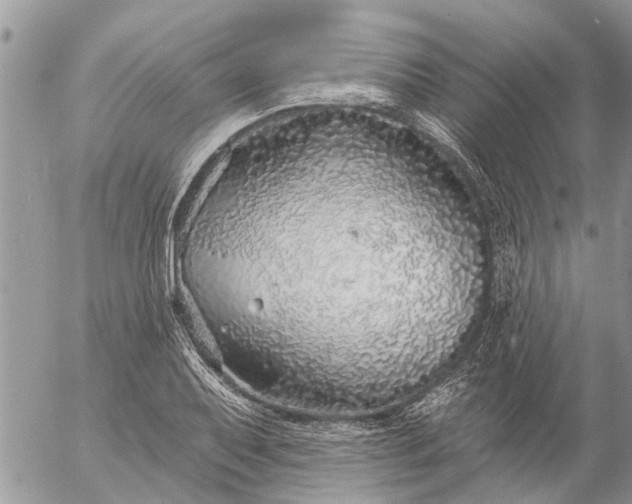 X0000057091079200509231644