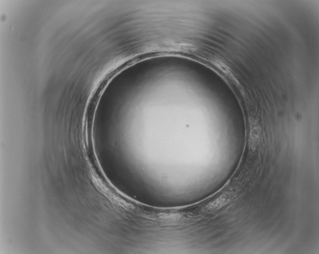 X0000057091080200509231644