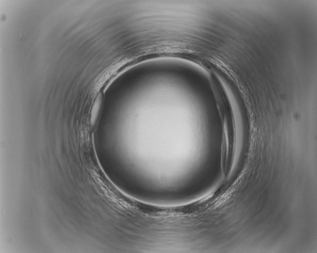 X0000057091081200509231644