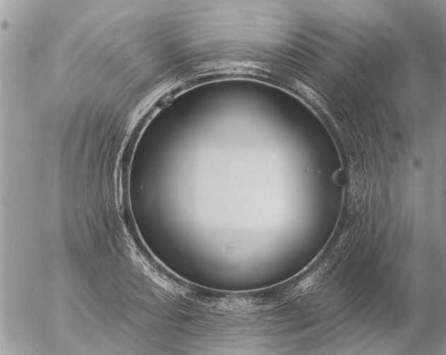 X0000057091082200509231644