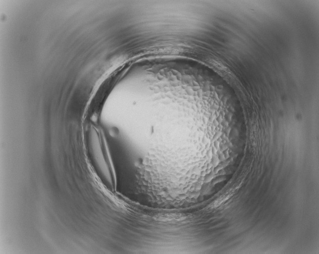 X0000057091083200509231644