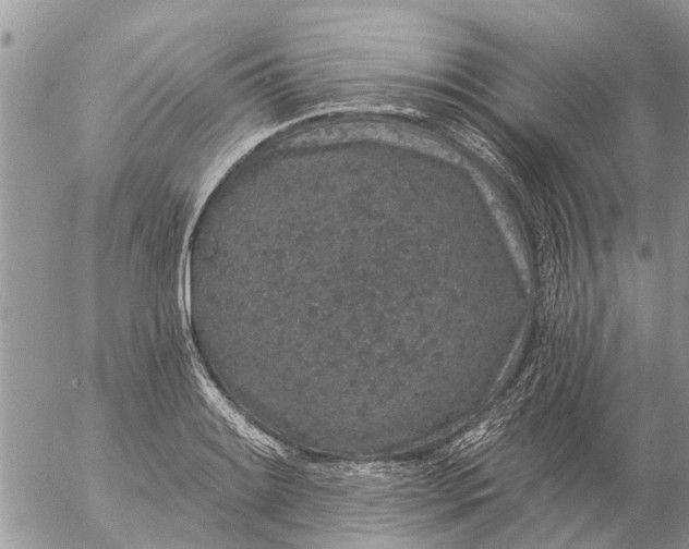 X0000057091084200509231644