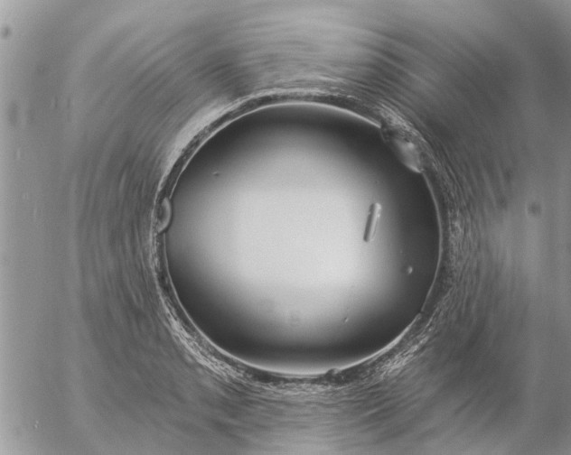 X0000057091085200509231643