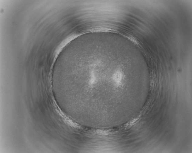 X0000057091086200509231643