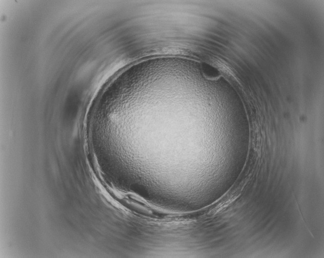 X0000057091087200509231643