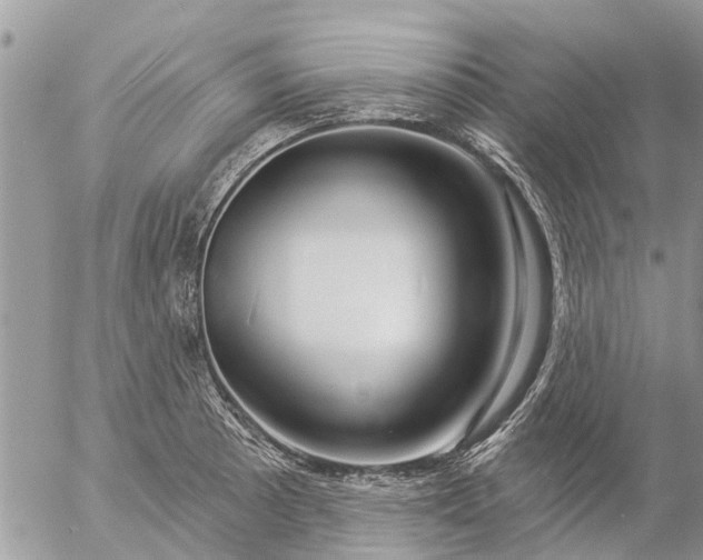 X0000057091089200509231643