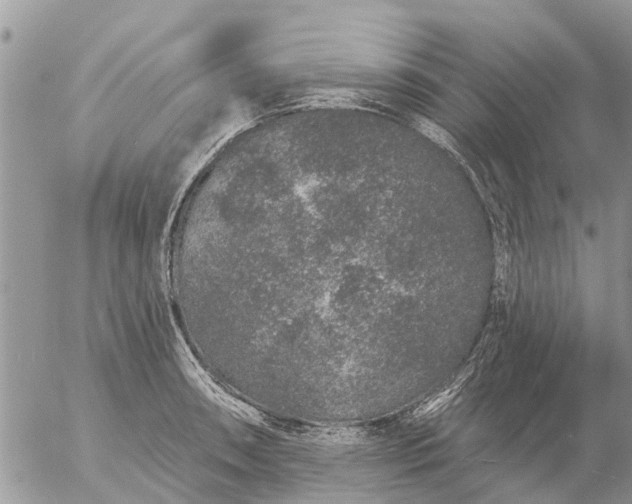 X0000057091090200509231643