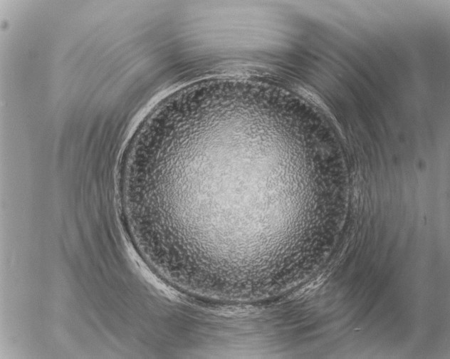 X0000057091091200509231643