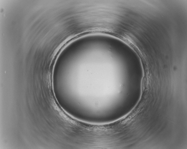 X0000057091092200509231643