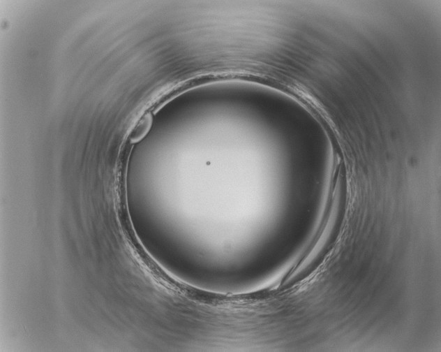 X0000057091093200509231643