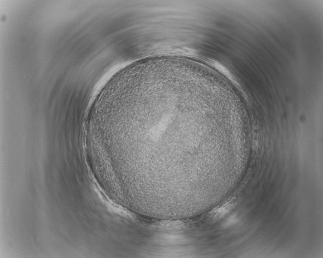 X0000057091094200509231643