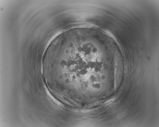 X0000057091095200509231643