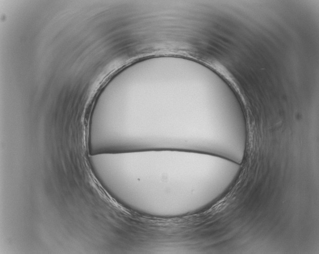 X0000057091096200509231643