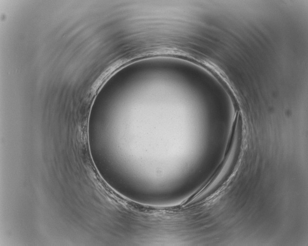 X0000057091097200509231643