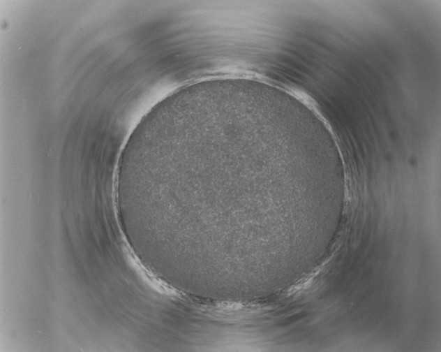 X0000057091098200509231643