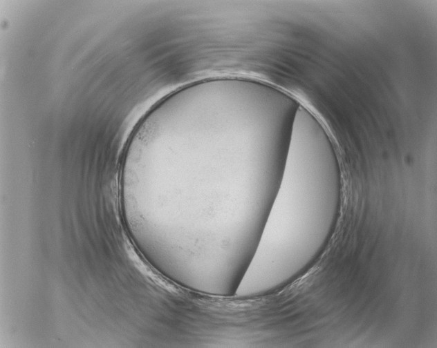 X0000057091100200509231643