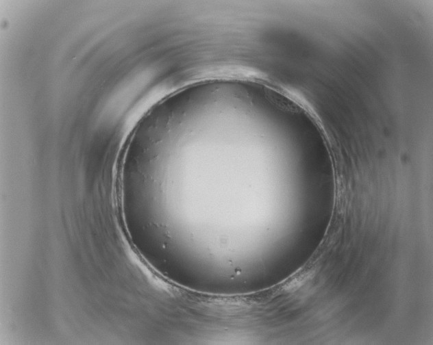 X0000057091103200509231643