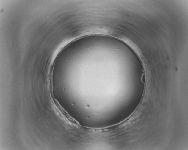 X0000057091104200509231643