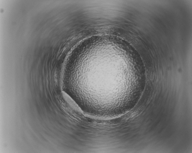 X0000057091106200509231642