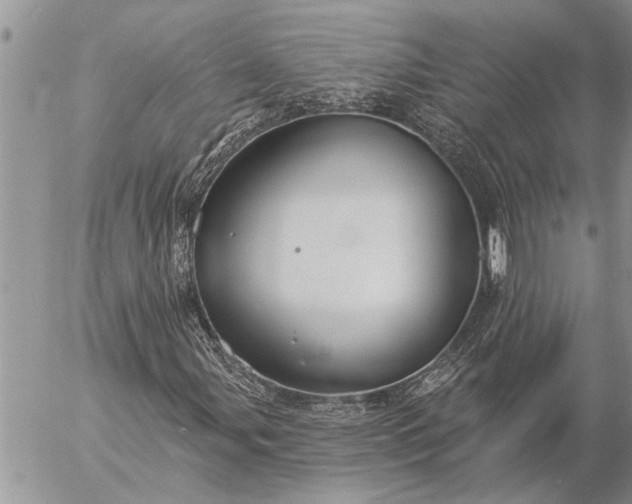 X0000057091107200509231642