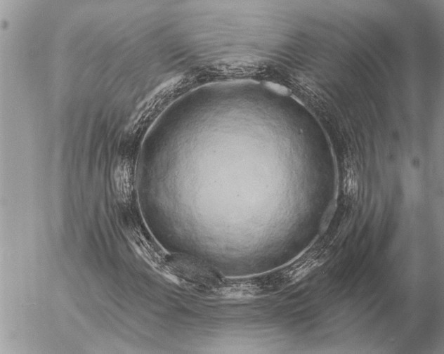 X0000057091108200509231642