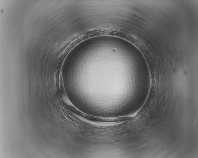 X0000057091110200509231642