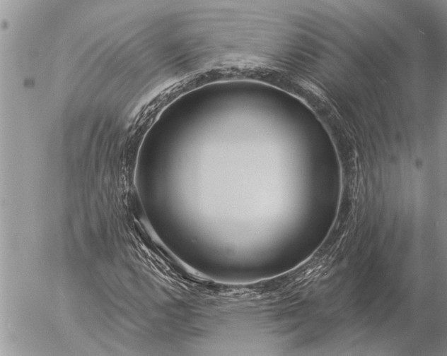 X0000057091112200509231642