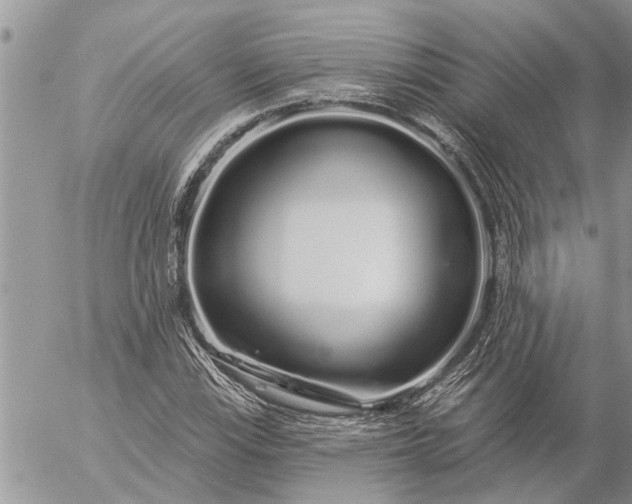 X0000057091115200509231643