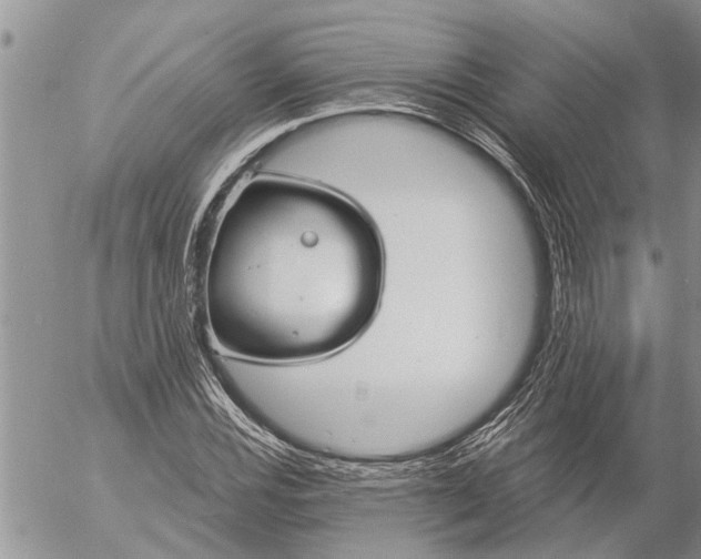 X0000057091116200509231643