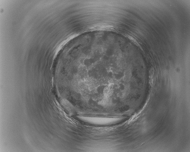 X0000057091117200509231643